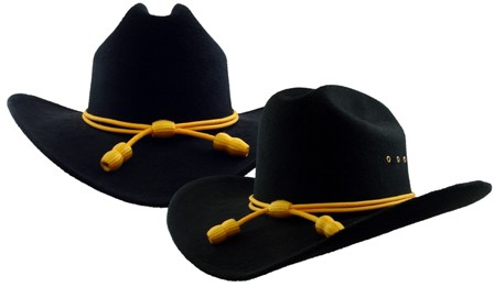 Plain Cowboy Hat (w/Gold Braids)