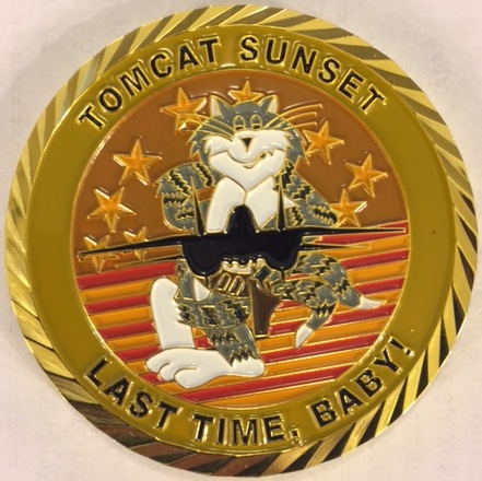 F-14 Tomcat Association 'Sunset' Coin (Front)