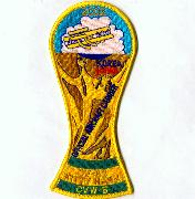 CV-63/VF-154 Soccer Cup Cruise Patch
