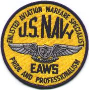 VS-31 EAWS Wings Patch