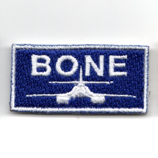 (FSS) B-1B *BONE* (Blue-White)