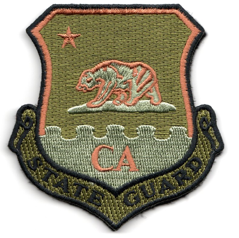 129RW *State Guard* Crest (OCP)