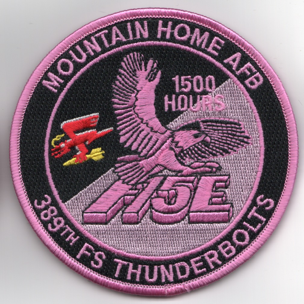 389FS F-15E 'Tinsel' Patch (PINK/1500 Hours/V)