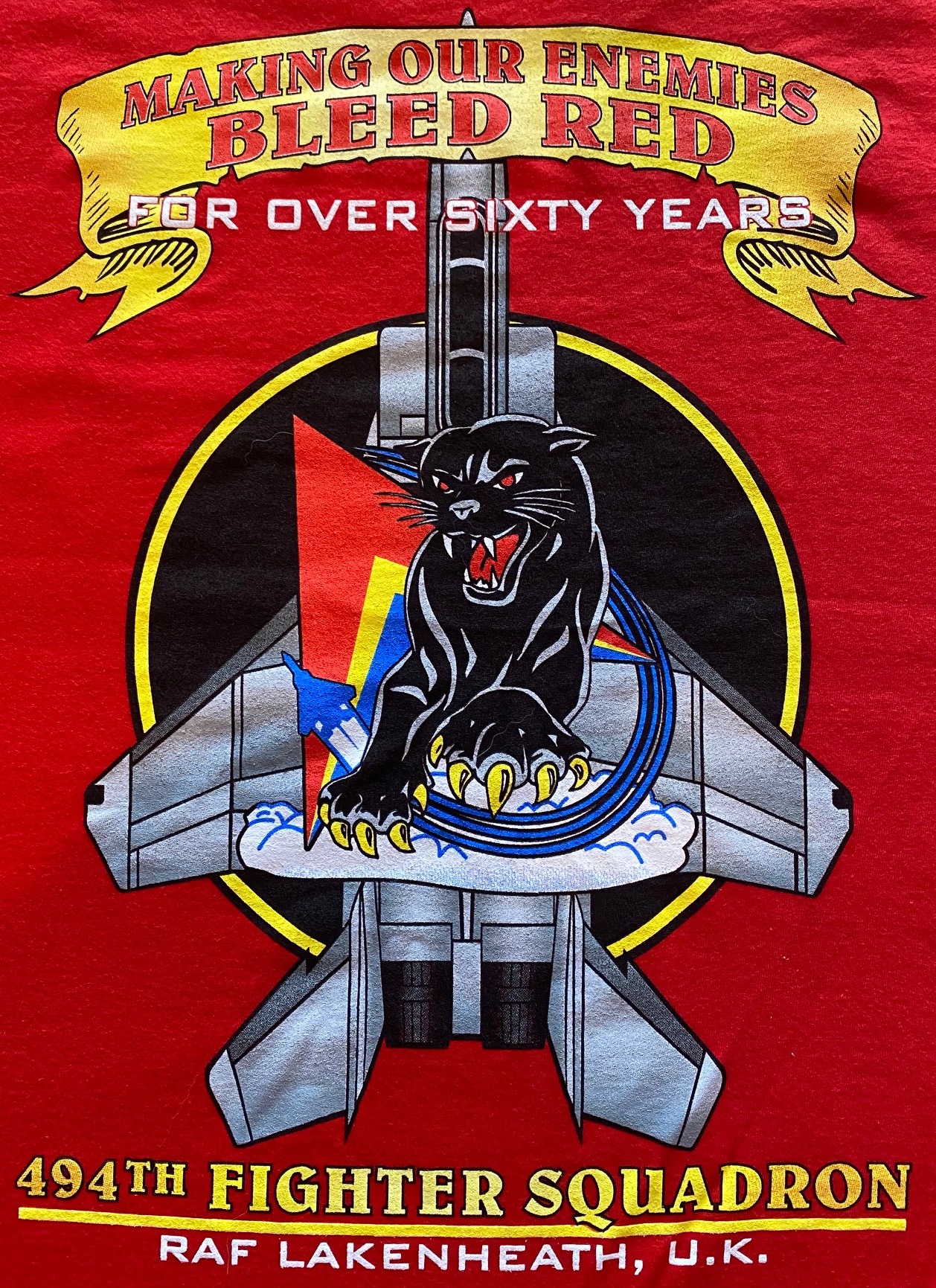 494FS T-Shirt (Back Logo)
