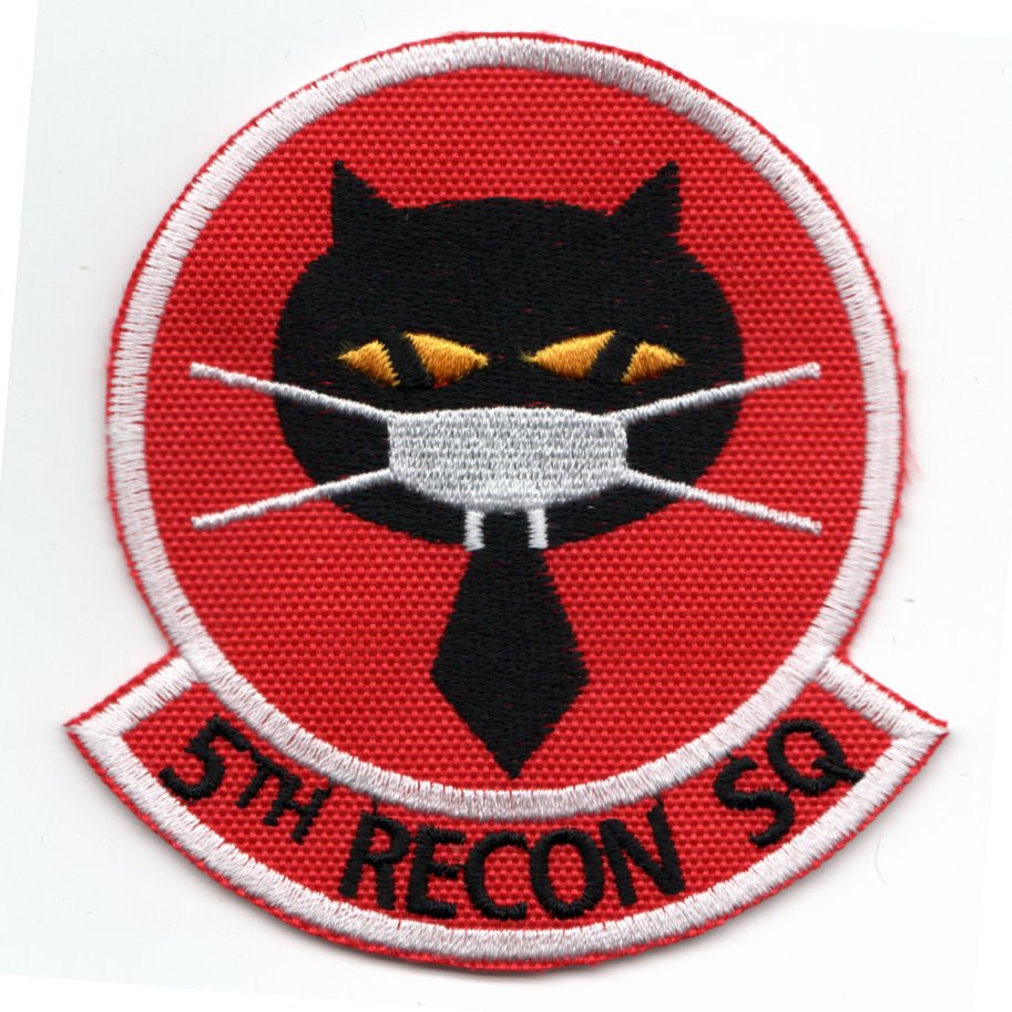 5th Reconnaissance Squadron (Red/Black Letters/White Mask)