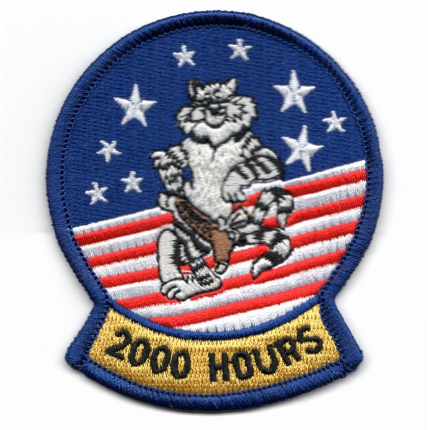 F-14 2000 Hours Felix Patch