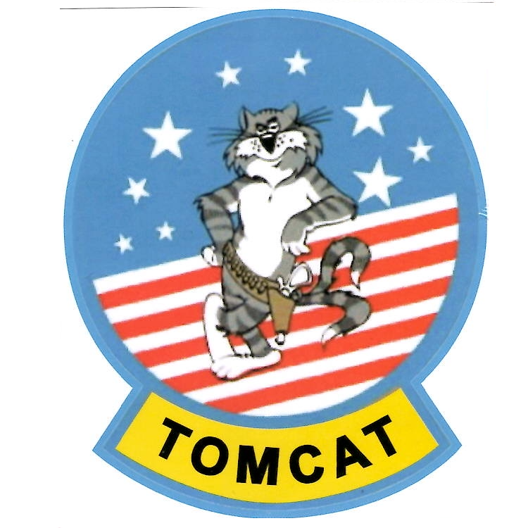 F-14 Tomcat Felix!