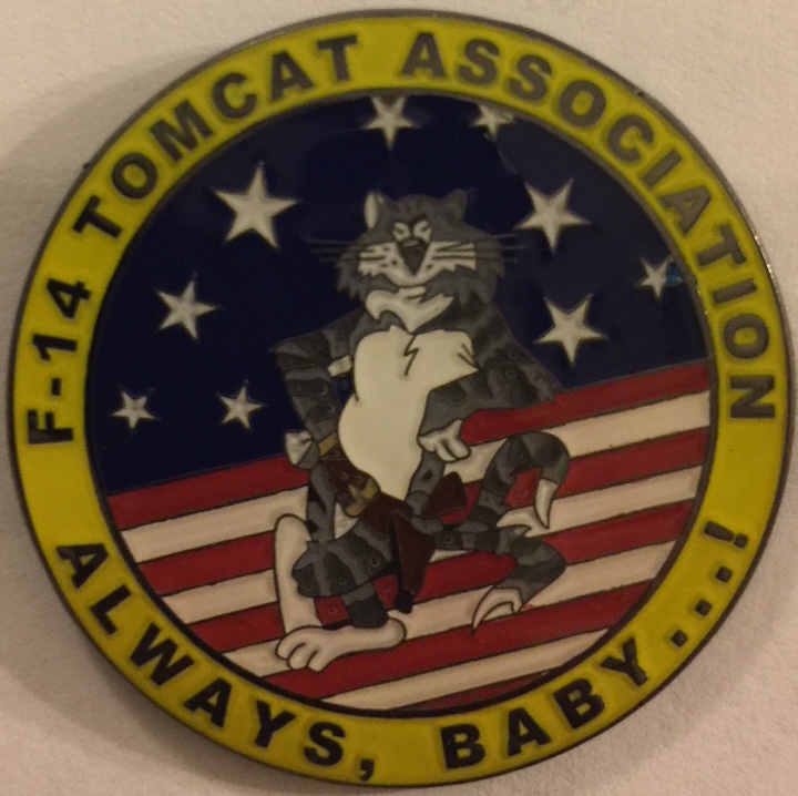 Lapel Pin: Tomcat Association