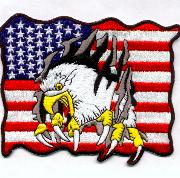 War Eagle through US Flag