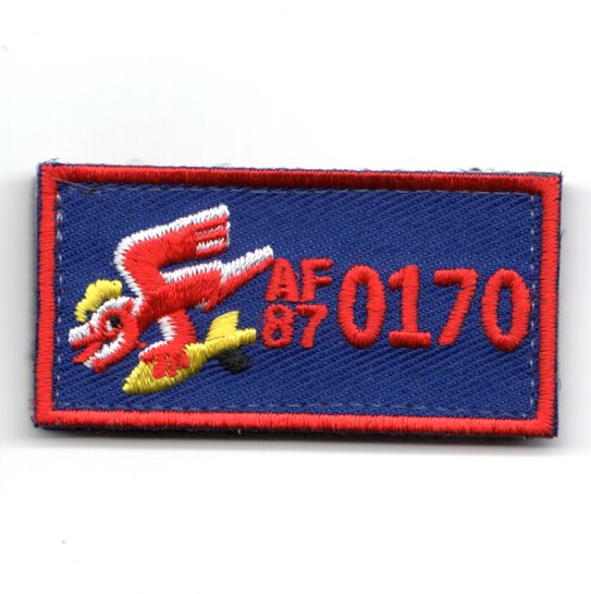 (FSS) 389FS Tail #: AF87-0170