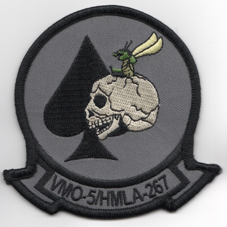HMLA-267/VMO-5 Squadron (Gray/White Skull)
