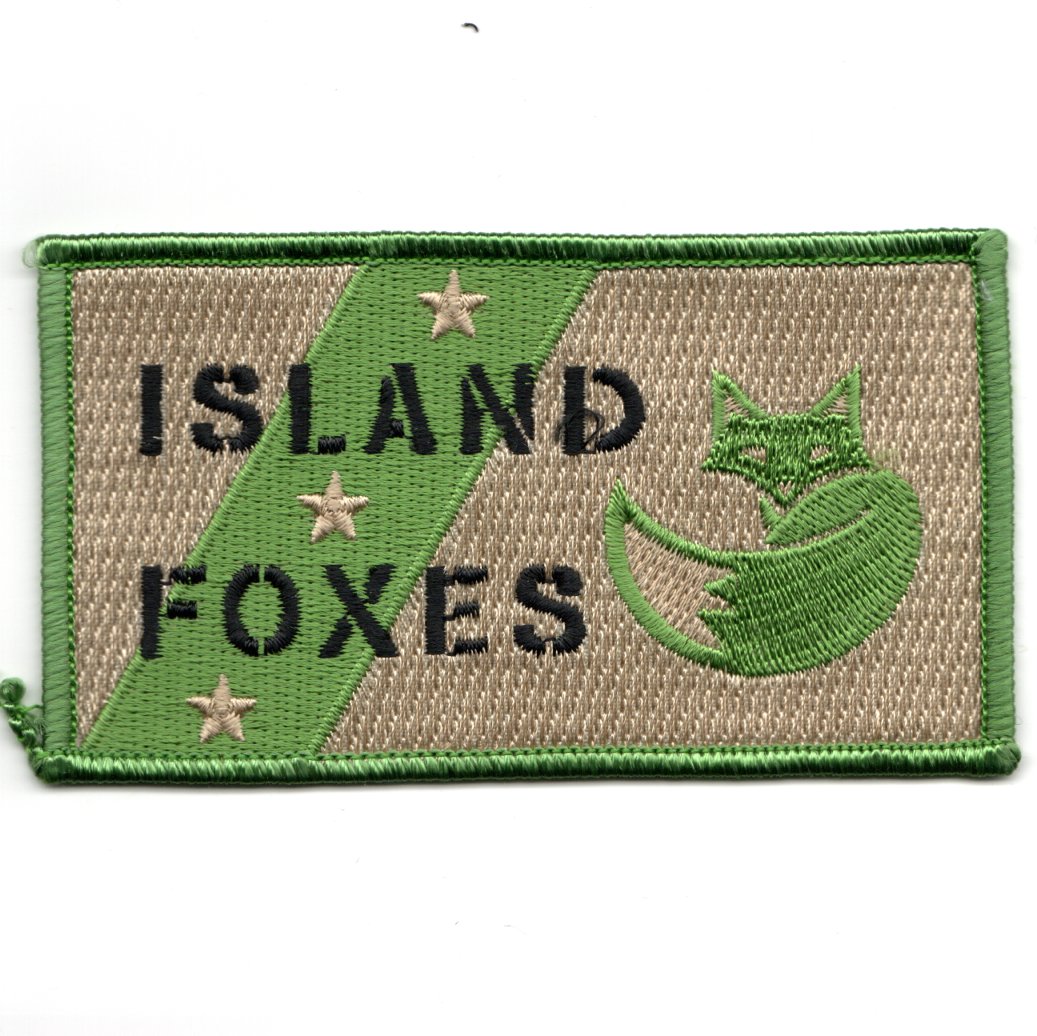 HSC-3 *ISLAND FOXES* Nametag (Green/Tan)