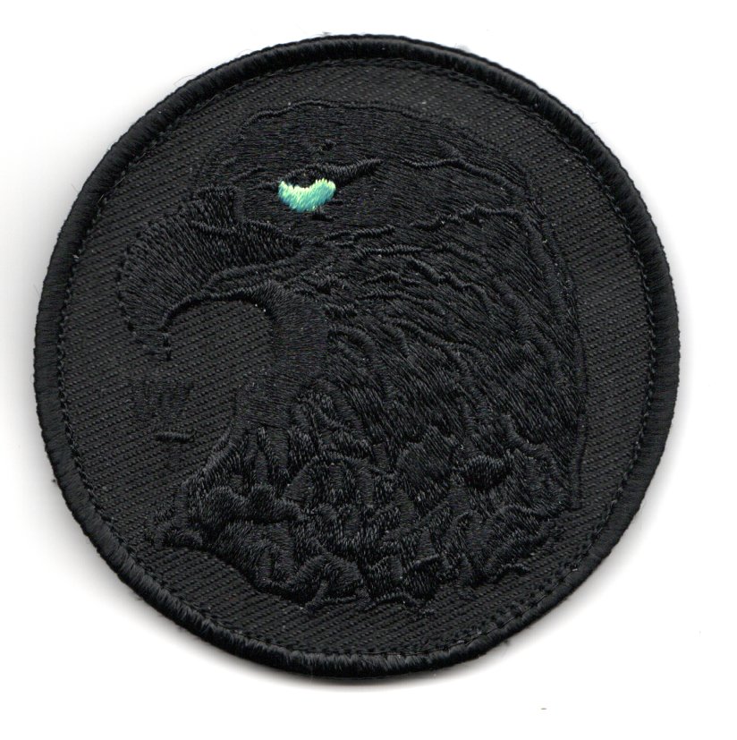 USMC WTI Patch (Black/Green Eye)