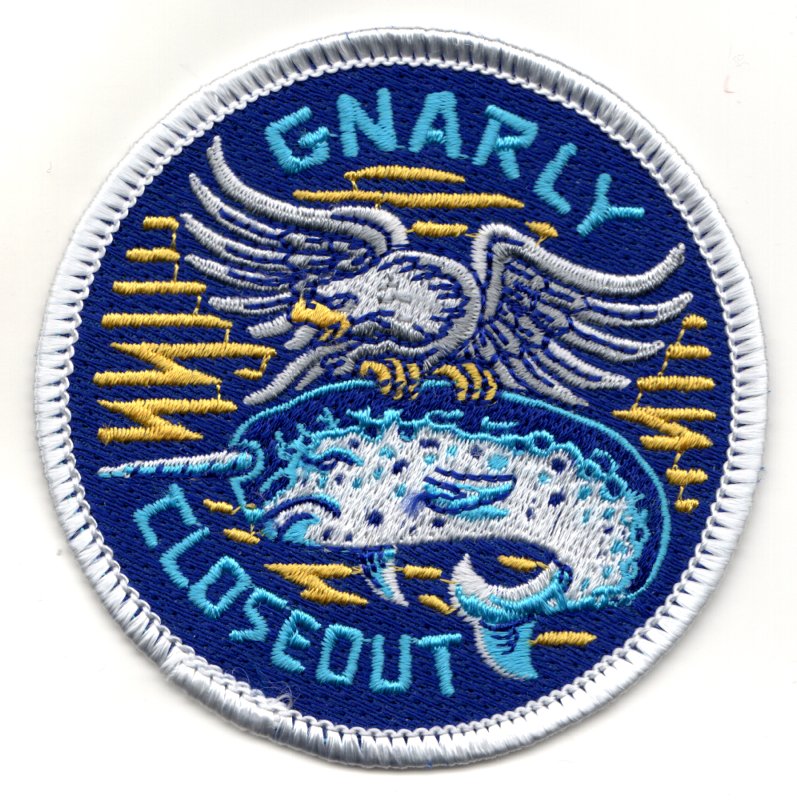 VAW-126 *GNARLY CLOSEOUT* Bullet (Blue)