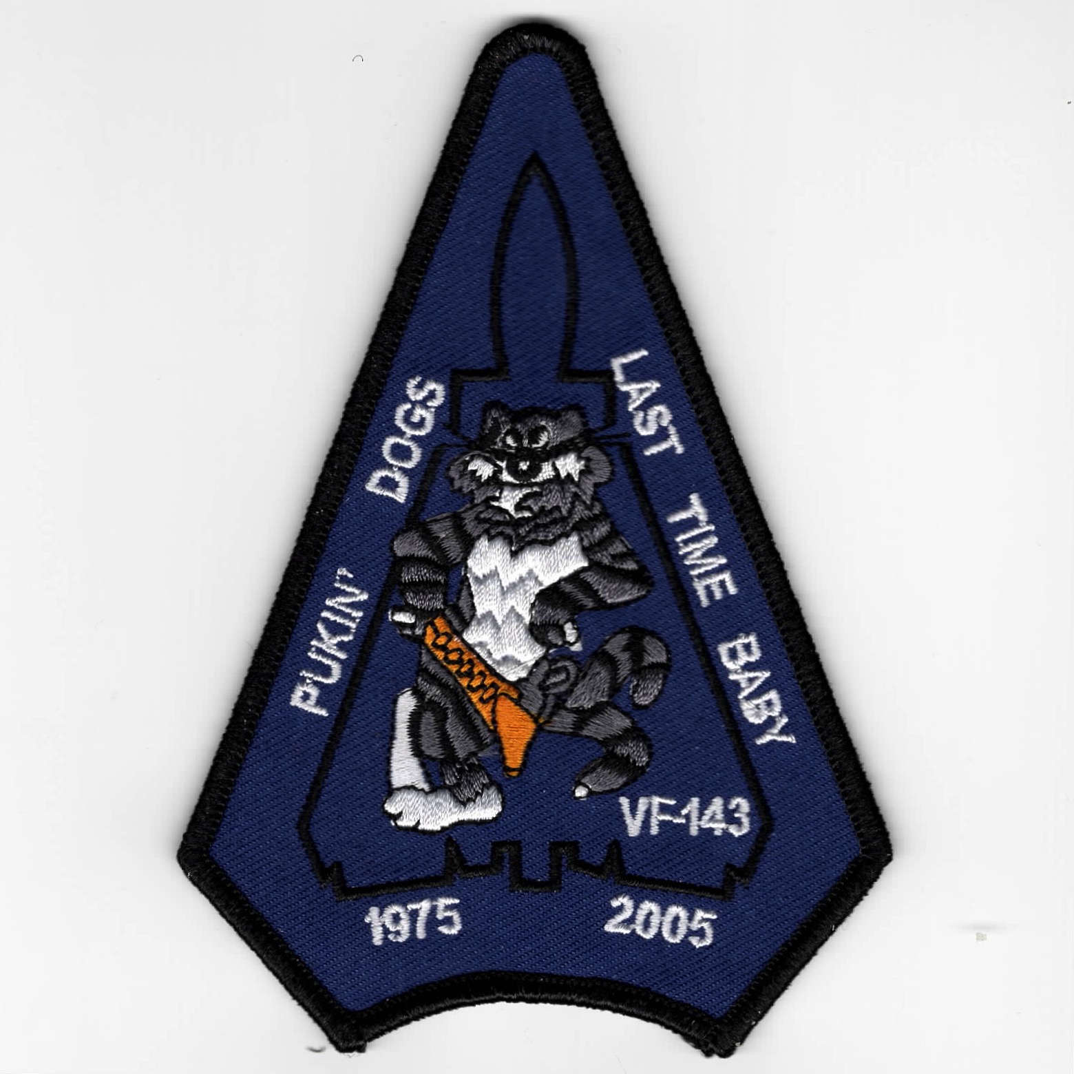VF-143 'Last Time' F-14 Aircraft (Blue)