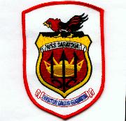 CV-60 Carrier & Cruise Patches